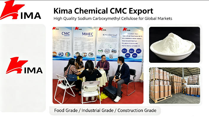 introduction-the-growing-importance-of-cmc-in-pharmaceutical-formulations-1.jpg